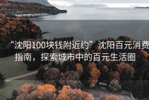 “沈陽100塊錢附近約”沈陽百元消費(fèi)指南，探索城市中的百元生活圈