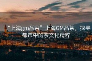 “上海gm品茶”上海GM品茶，探尋都市中的茶文化精粹