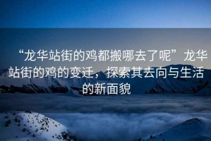 “龍華站街的雞都搬哪去了呢”龍華站街的雞的變遷，探索其去向與生活的新面貌