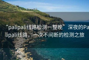 “palipali線路檢測一整晚”深夜的Palipali線路，一次不間斷的檢測之旅