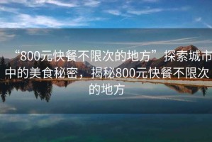 “800元快餐不限次的地方”探索城市中的美食秘密，揭秘800元快餐不限次的地方