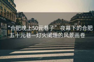 “合肥晚上50元巷子”夜幕下的合肥五十元巷—燈火闌珊的風(fēng)景畫卷