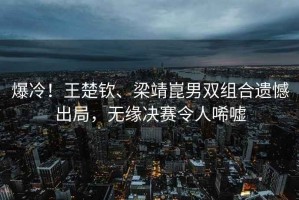 爆冷！王楚欽、梁靖崑男雙組合遺憾出局，無緣決賽令人唏噓