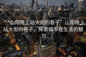“山陽(yáng)晚上站大街的巷子”山陽(yáng)晚上站大街的巷子，探索城市夜生活的魅力