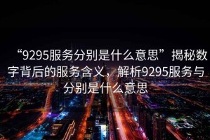 “9295服務(wù)分別是什么意思”揭秘?cái)?shù)字背后的服務(wù)含義，解析9295服務(wù)與分別是什么意思