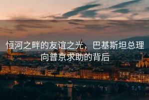 恒河之畔的友誼之光，巴基斯坦總理向普京求助的背后