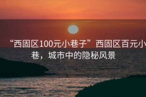 “西固區(qū)100元小巷子”西固區(qū)百元小巷，城市中的隱秘風(fēng)景