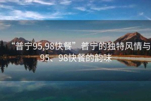 “普寧95,98快餐”普寧的獨特風情與95、98快餐的韻味