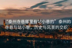“泰州寺巷哪里有站小巷的”泰州的寺巷與站小巷，歷史與風(fēng)景的交織
