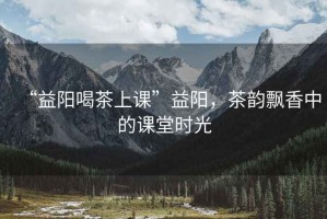 “益陽喝茶上課”益陽，茶韻飄香中的課堂時光