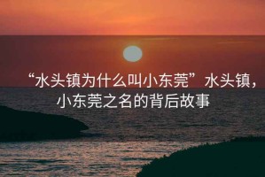 “水頭鎮(zhèn)為什么叫小東莞”水頭鎮(zhèn)，小東莞之名的背后故事