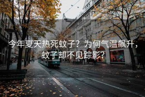 今年夏天熱死蚊子？為何氣溫飆升，蚊子卻不見蹤影？