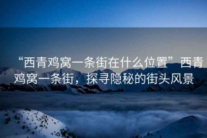 “西青雞窩一條街在什么位置”西青雞窩一條街，探尋隱秘的街頭風(fēng)景