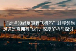 “蚌埠領(lǐng)尚足道有飛機(jī)嗎”蚌埠領(lǐng)尚足道是否擁有飛機(jī)，深度解析與探討