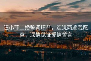 汪小菲二婚誓詞環(huán)節(jié)，連說兩遍我愿意，深情見證愛情誓言