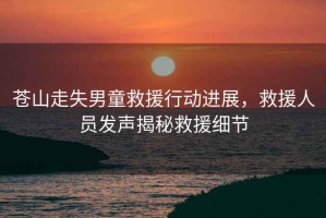 蒼山走失男童救援行動進展，救援人員發(fā)聲揭秘救援細(xì)節(jié)
