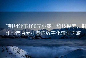 “荊州沙市100元小巷”科技探索，荊州沙市百元小巷的數(shù)字化轉(zhuǎn)型之旅