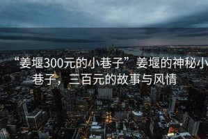“姜堰300元的小巷子”姜堰的神秘小巷子，三百元的故事與風(fēng)情