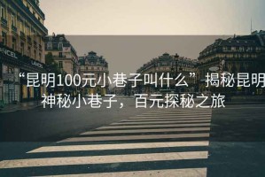“昆明100元小巷子叫什么”揭秘昆明神秘小巷子，百元探秘之旅