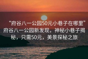“府谷八一公園50元小巷子在哪里”府谷八一公園新發(fā)現(xiàn)，神秘小巷子揭秘，只需50元，美景探秘之旅