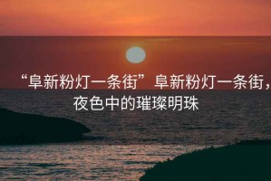 “阜新粉燈一條街”阜新粉燈一條街，夜色中的璀璨明珠