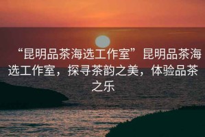 “昆明品茶海選工作室”昆明品茶海選工作室，探尋茶韻之美，體驗(yàn)品茶之樂(lè)