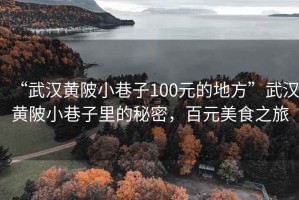 “武漢黃陂小巷子100元的地方”武漢黃陂小巷子里的秘密，百元美食之旅