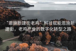 “恩施新建街老雞”科技賦能恩施新建街，老雞產(chǎn)業(yè)的數(shù)字化轉(zhuǎn)型之路
