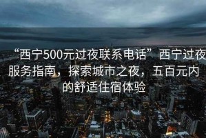 “西寧500元過(guò)夜聯(lián)系電話”西寧過(guò)夜服務(wù)指南，探索城市之夜，五百元內(nèi)的舒適住宿體驗(yàn)