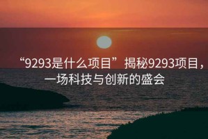“9293是什么項目”揭秘9293項目，一場科技與創(chuàng)新的盛會