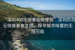 “深圳400元快餐能做哪些”深圳四百元快餐美食之旅，探尋城市味蕾的無(wú)限可能