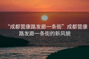 “成都營康路發(fā)廊一條街”成都營康路發(fā)廊一條街的新風(fēng)貌