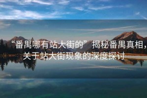 “番禺哪有站大街的”揭秘番禺真相，關(guān)于站大街現(xiàn)象的深度探討