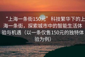 “上海一條街150元”科技繁華下的上海一條街，探索城市中的智能生活體驗與機遇（以一條僅售150元的獨特體驗為例）