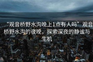 “觀音橋野水溝晚上1點有人嗎”觀音橋野水溝的夜晚，探索深夜的靜謐與生機