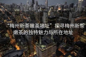 “梅州新茶嫩茶地址”探尋梅州新茶嫩茶的獨(dú)特魅力與所在地址