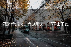 藏海傳爆火，肖戰(zhàn)助力，卻不止于此