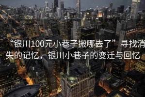 “銀川100元小巷子搬哪去了”尋找消失的記憶，銀川小巷子的變遷與回憶