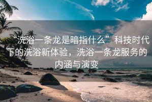 “洗浴一條龍是暗指什么”科技時代下的洗浴新體驗，洗浴一條龍服務的內涵與演變