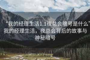 “我的經(jīng)理生活1.1夜總會暗號是什么”我的經(jīng)理生活，夜總會背后的故事與神秘暗號