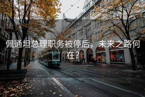 佩通坦總理職務(wù)被停后，未來之路何在？