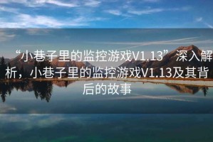 “小巷子里的監(jiān)控游戲V1.13”深入解析，小巷子里的監(jiān)控游戲V1.13及其背后的故事