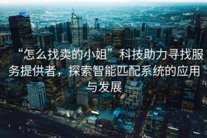 “怎么找賣的小姐”科技助力尋找服務提供者，探索智能匹配系統(tǒng)的應用與發(fā)展