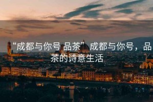 “成都與你號(hào) 品茶”成都與你號(hào)，品茶的詩意生活