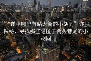 “遂平哪里有站大街的小胡同”遂平探秘，尋找那些隱匿于街頭巷尾的小胡同