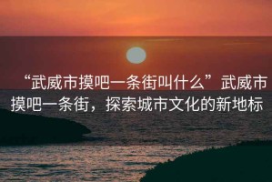 “武威市摸吧一條街叫什么”武威市摸吧一條街，探索城市文化的新地標(biāo)