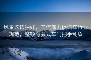 風(fēng)景這邊獨好，工信部力促汽車行業(yè)規(guī)范，整頓隱藏式車門把手亂象