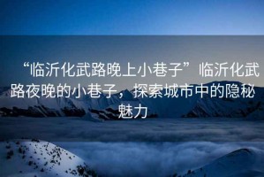 “臨沂化武路晚上小巷子”臨沂化武路夜晚的小巷子，探索城市中的隱秘魅力