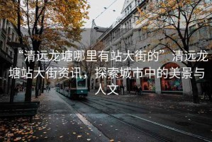 “清遠(yuǎn)龍?zhí)聊睦镉姓敬蠼值摹鼻暹h(yuǎn)龍?zhí)琳敬蠼仲Y訊，探索城市中的美景與人文