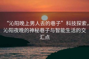 “沁陽晚上男人去的巷子”科技探索，沁陽夜晚的神秘巷子與智能生活的交匯點